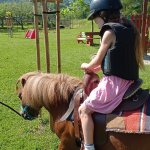 phoca_thumb_m_ponk 7 Fotogalerie